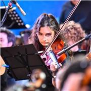 Apoyo escolar general a niños en educación primaria. Materias principales: matemática, lengua y música. Consultar otras